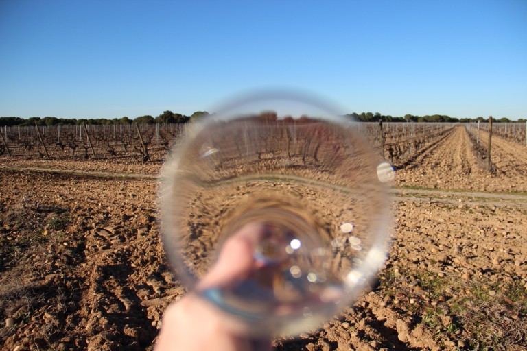 “Terroir” Being Redefined by Social Media: from “where produced” to “where consumed.”